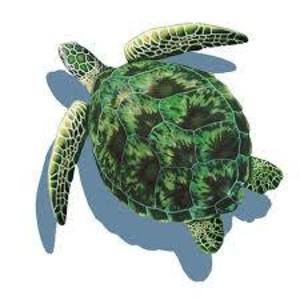 Meet your Posher, Gwen